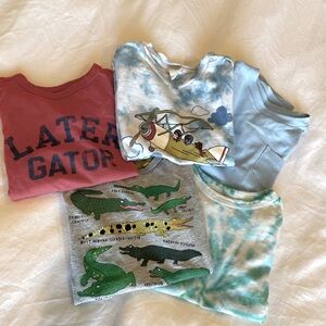 Lot of 5 boys t shirts